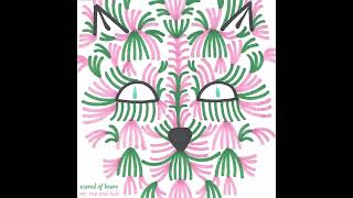 Scared Of Bears - Hide The Knives