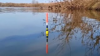 РЫБАЛКА НА КАРАСЯ ПОПЛАВОЧНОЙ УДОЧКОЙ.  Карась просыпается