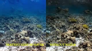 SeaThru-NeRF: Neural Radiance Fields in Scattering Media (CVPR 2023) - Red Sea Scene