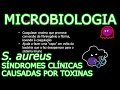 Aula: Microbiologia Médica #9 - Staphylococcus aureus: Síndromes clínicas causadas por toxinas