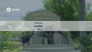 Cortel