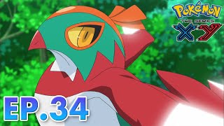 Pokémon the Series: XY| EP34 | The Forest Champion! |Pokémon Asia ENG