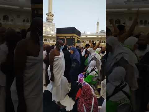 شكرا يا حاجه مني متحرمش منك ابدا وعمره مقبوله أن شاء الله  اكسبلور من بيت ياسمين طبخ