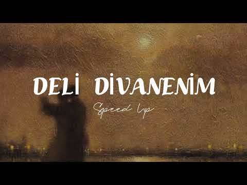 Ziynet Sali - Deli Divanenim (Speed Up)