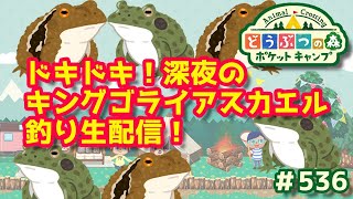 ポケ森 ライブ ドキドキ 深夜のキングゴライアスカエル釣り生配信 536 どうぶつの森 ポケットキャンプ Youtube