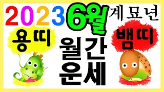 [띠별 월간 운세] 2023년 6월 한 달 용띠와 뱀띠 운세입니다~  사주/운세/역학/철학/주역/관상/풍수지…