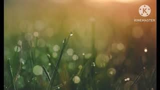 Download lagu DJ kemenangan ARG audio dj royalty