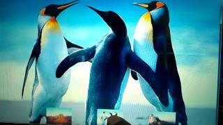 Information Processing & Java Demo 3 Vedio By Aartek Update