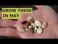 10 seeds you must grow in may