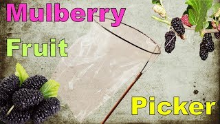 fruit picker-mulberry