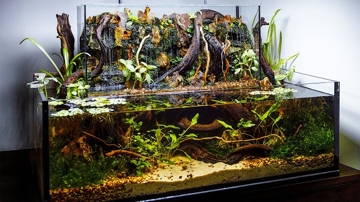 Filtro de pantano para terrario con cascadas para acuario nano