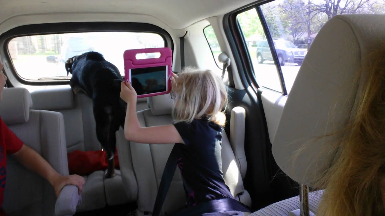 video phone beyonce mp3 Riley growling at dog in car behind us May 2015