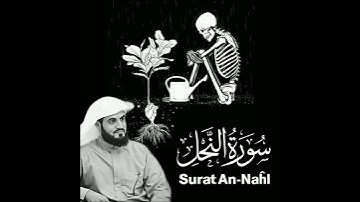 تلاوة جديدة رعدالكردي/ سورة النحل