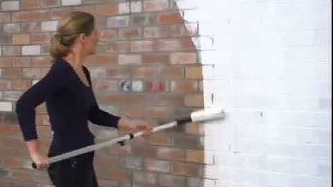 Dulux Texture Full Cover Roll On Paint: Render Refresh