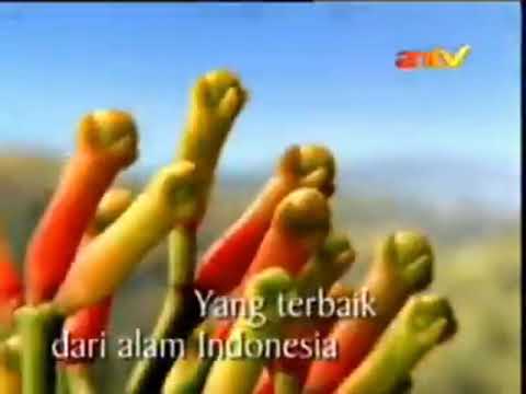 Djarum 76 - Hasil Terbaik (2004-05) Versi 1