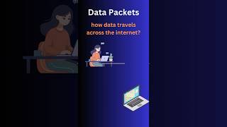 How Data Travels Across the Internet Explained in 60 Seconds! #networksecurity #computernetworking Net Worth