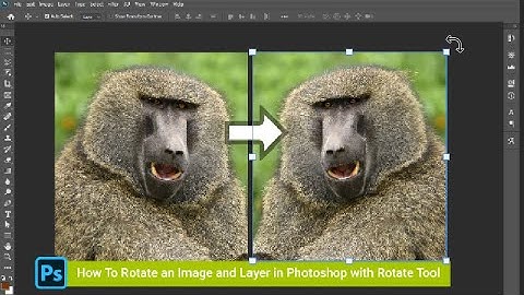 How to rotate an image and layer in Photoshop