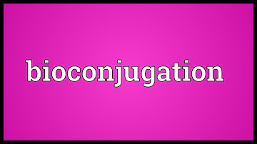 Bioconjugation Meaning