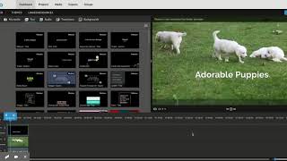 Celebrity Add text to Wevideo Profile