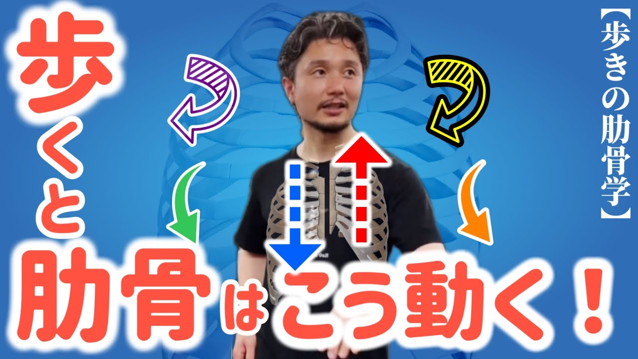 【肋骨ウォーク】歩くたびに肋骨はこう動く！【身体開発・立腰体操・フィジカリストOuJi】