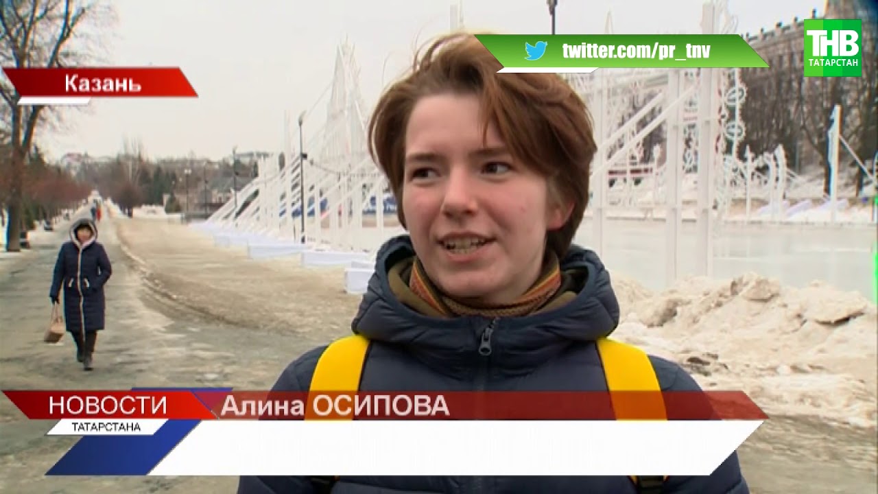 Аномально тёплая зима в Татарстане привела к массовому сбою: зацвели мимозы