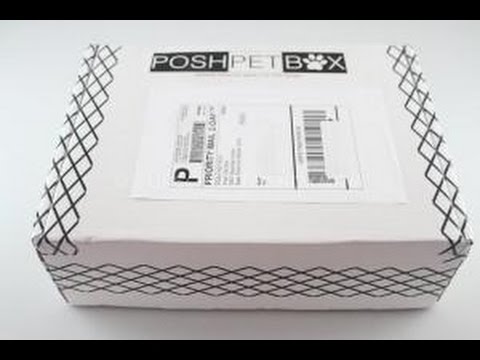 Posh Pet Box August 2014 + Coupons – Dog Subscription Box