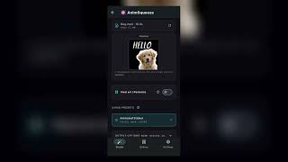 AnimSqueeze — Cut Out, Resize, Export Animated Sticker screenshot 5