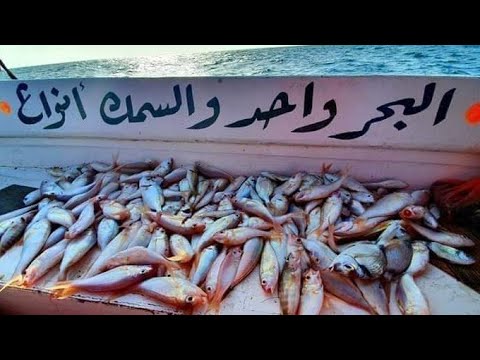 البحر واحد والسمك انواع
