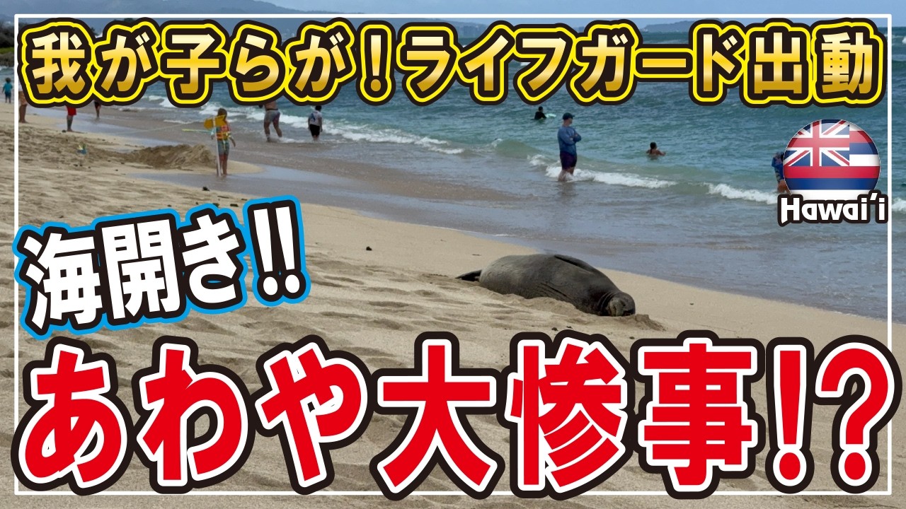 【海開きで大惨事？】子供らを助けて！ライフガード出動！ハワイアン・モンクシール！ #ハワイ #ハワイ移住 #子育て #海外生活vlog
