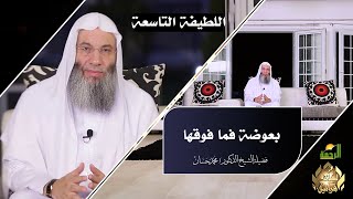 بعوضة فما فوقها ح 9 برنامج لطائف قرآنية مع فضيلة الشيخ الدكتور محمد حسان