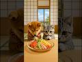 まめとまるの冷やし中華