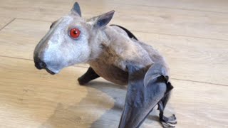 10 Most Dangerous Animals in Asia