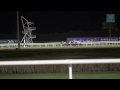 An evening at the Meydan race course