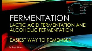 Fermentation Lactic Acid Fermentation and Alcoholic Fermentation. Cori Cycle