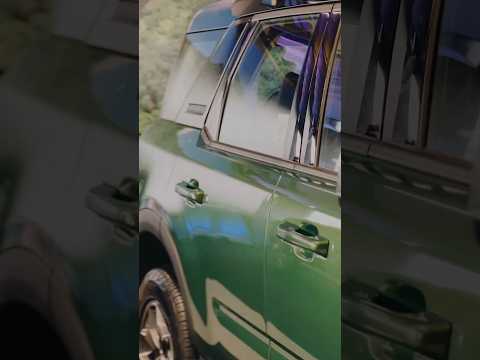 BRONCO + TERRITORY- REELS IN REAL TIME