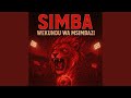 SIMBA WEKUNDU WA MSIMBAZI 