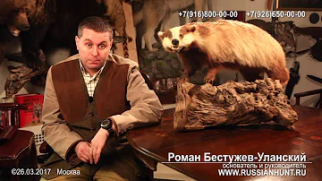БАРСУЧИЙ ЖИР. Его лечебные свойства, где купить, применение.