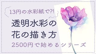 13円の水彩紙で？！透明水彩の花の描き方【アネモネ】 - YouTube