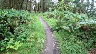 Melted Welly at Bike Park Wales