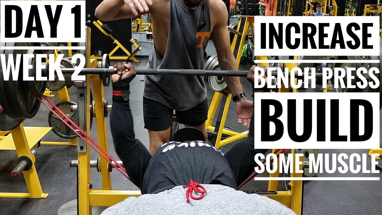 This Is A Killer Chest Workout Day 1 Week 2 YouTube