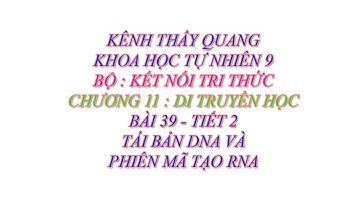 Khoa học tự nhiên 9 - Kết nối tri thức - Chương 11 - Bài 39 -Tái bản DNA và phiên mã tạo RNA -Tiết 2