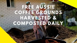Local Australian Coffee Grounds Collected & Composted at Martys Garden
