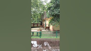 Can Water burn Paper ??? #anubhavsir #theoryofphysics