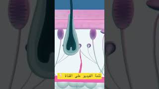 طريقة استخدام الديرما رولر #افوجين #minoxidil #dermaroller #shorts