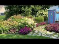 Hydrangeas and the different stages  which ones make good cut flowers