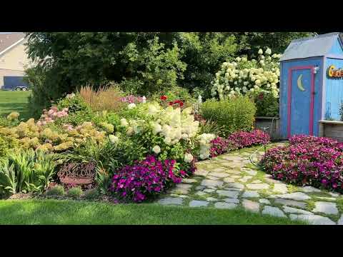 Hydrangeas and the Different Stages - Which Ones Make Good Cut Flowers hqdefault