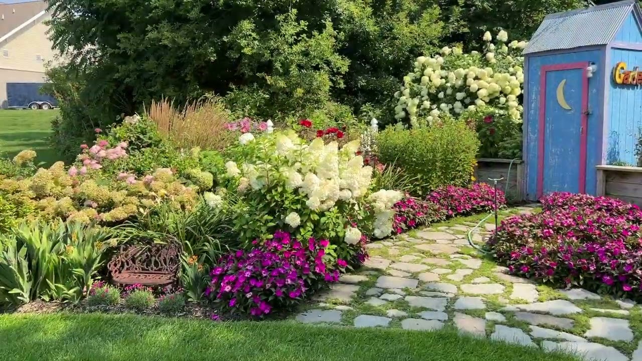 Hydrangeas and the Different Stages - Which Ones Make Good Cut Flowers