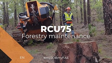 The FAE remote controlled tracked carrier in action fighting forest fires in the Canary Islands