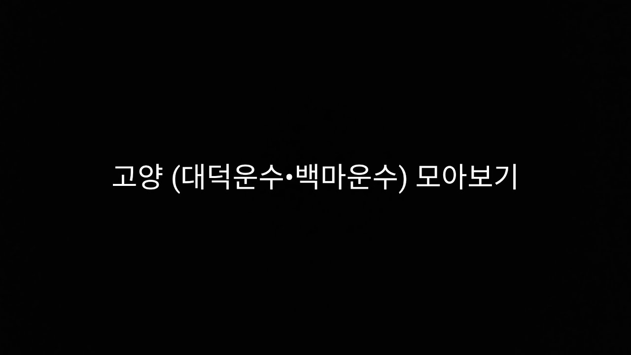 고양 (대덕운수•백마운수) 모아보기 주행영상