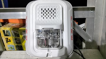 System Sensor P2WL Overview and Testing